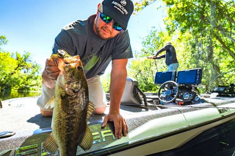 Five Tactics for Hot-Weather Bass Fishing Image