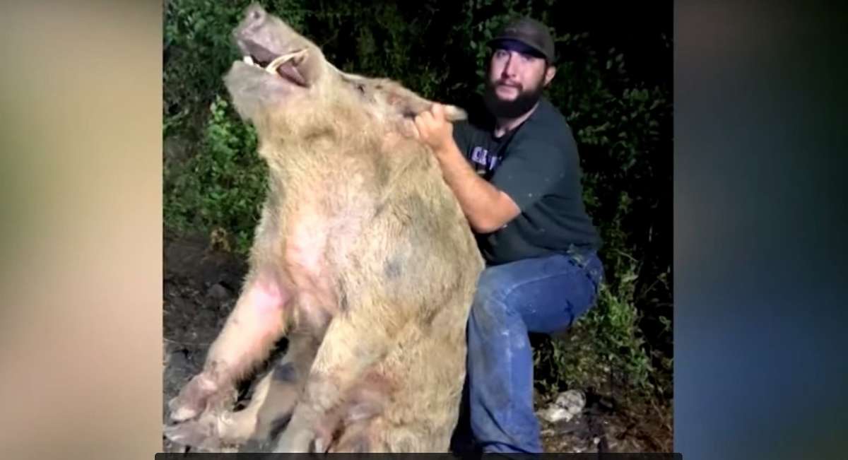 www.realtree.com