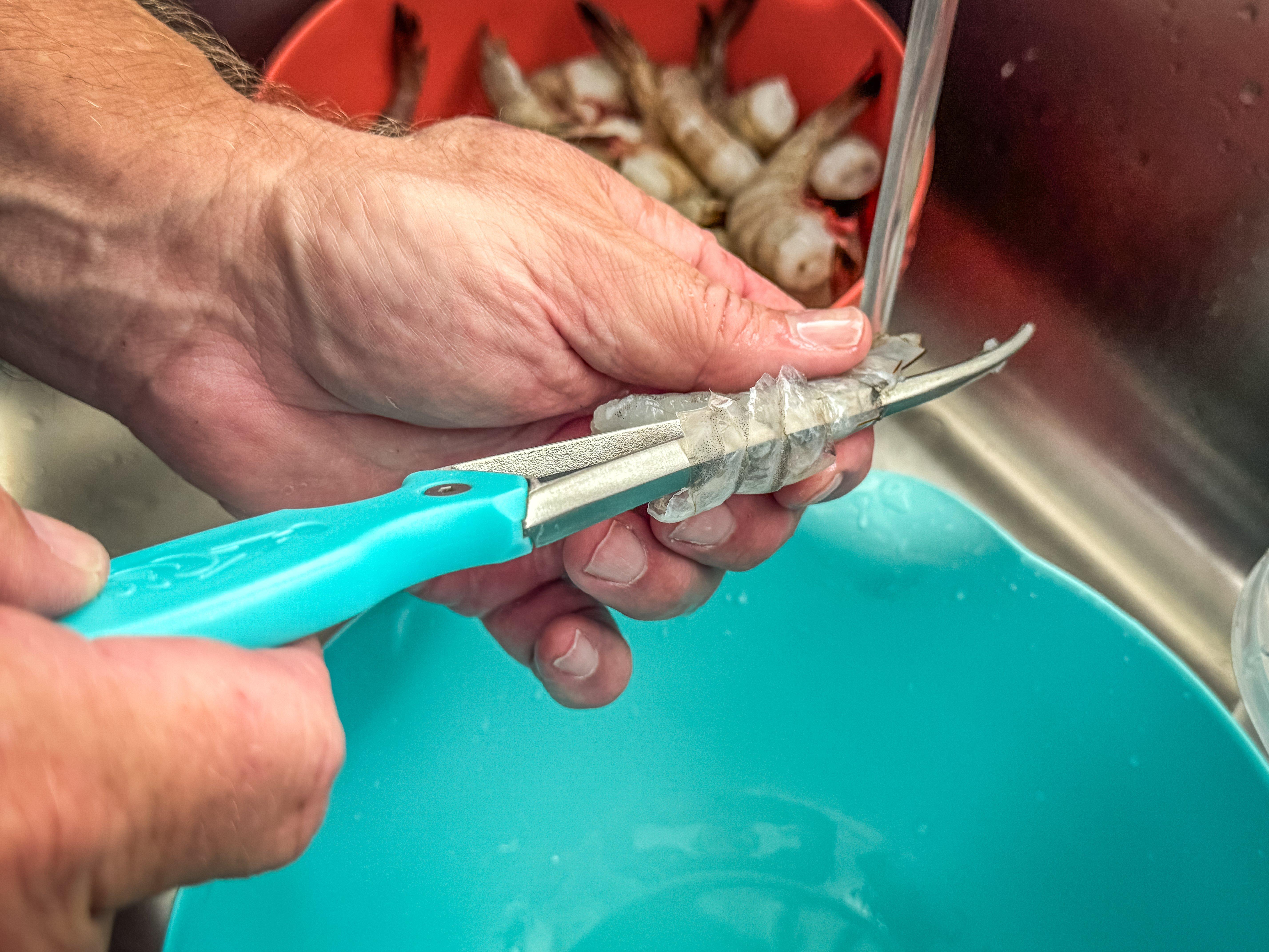 Image: honey_shrimp_1