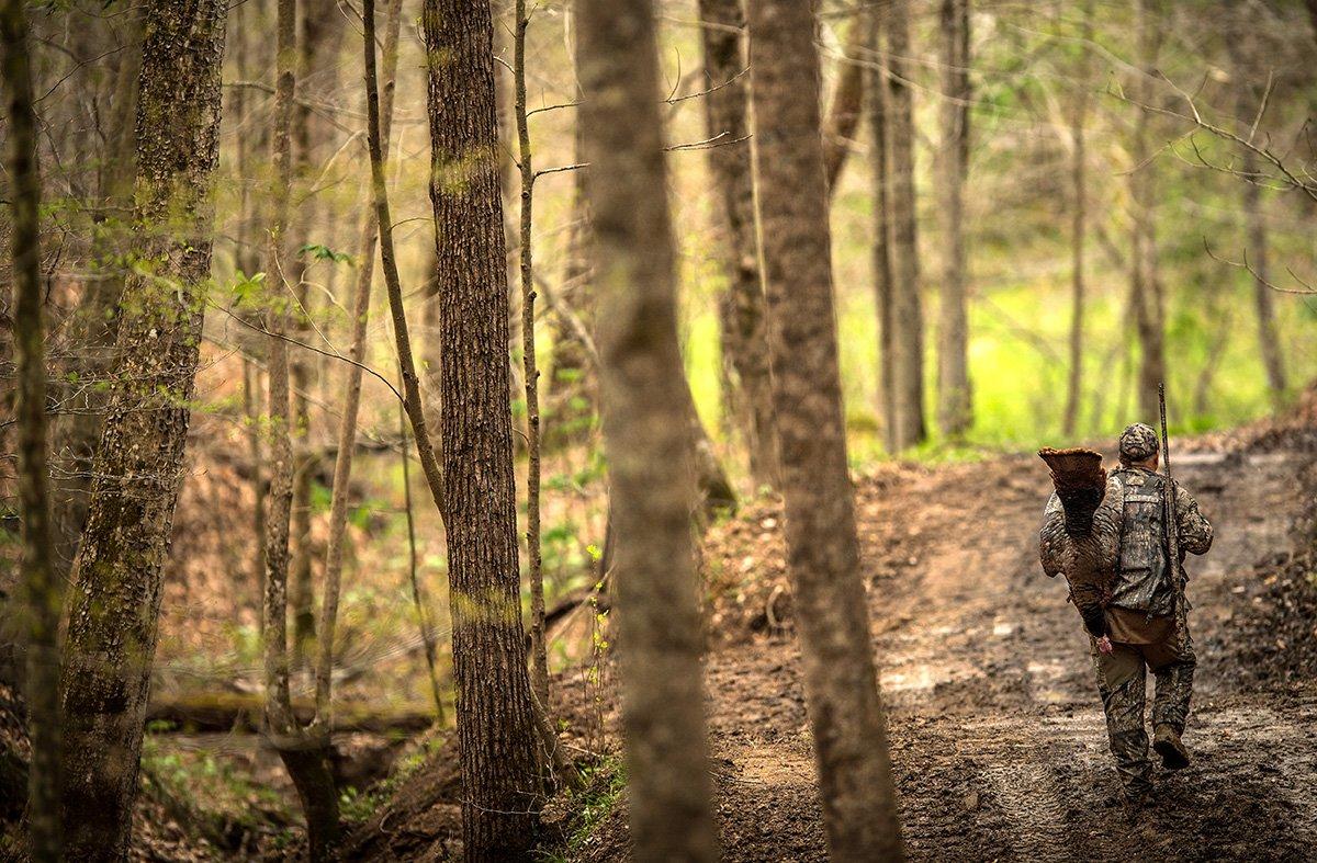 The bird is coming hard. You hear a bang, and see another hunter walking out with the bird over his shoulder. Image by Bill Konway