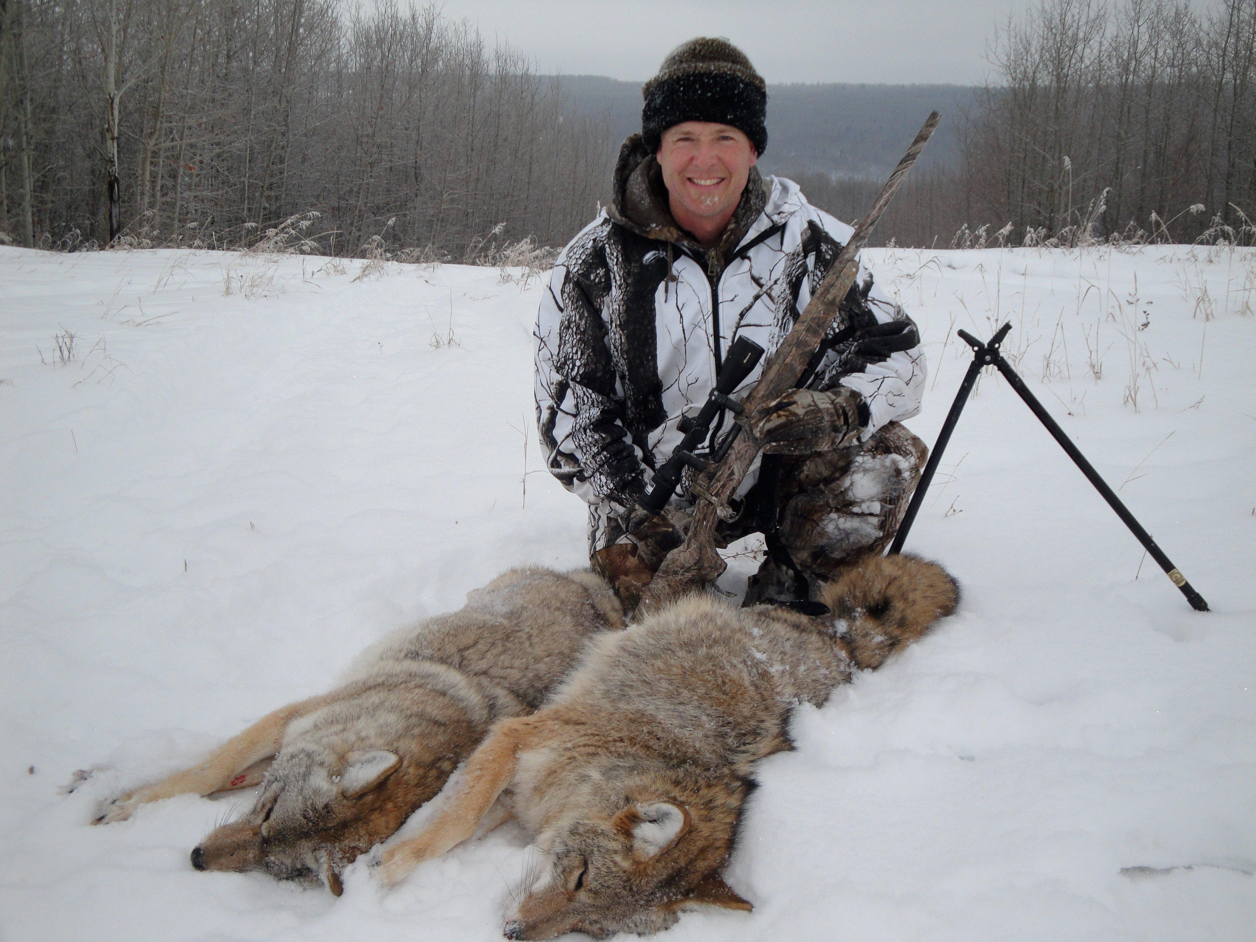 Best time to hunt coyotes in iowa in winter