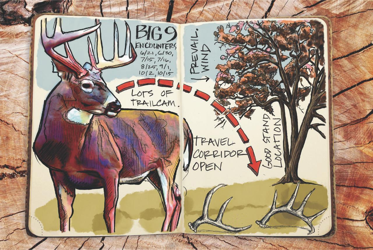 Deer hunting journals are more than worth their weight. (Ed Anderson illustration)