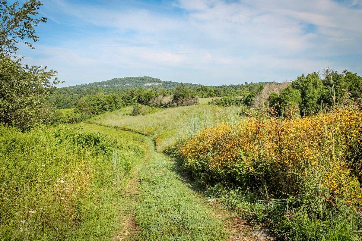 I walked down this trail many times as a child. While I no longer have access to this farm, I still reminisce about the memories made on it. (Josh Honeycutt photo)