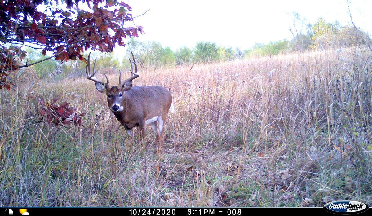 When putting the pointers outlined into play, you can obtain relevant information that can lead to a success story. For Midwest Whitetail's Jared Mills, success on this buck finally materialized in January. Image by Jared Mills