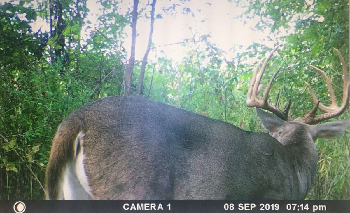 Once the time was right, Hogan moved in and hunted the giant deer. (Justin Hogan photo)