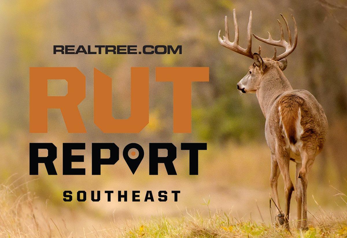 Hot Weather Stifling Rut in the Southeast Realtree Camo