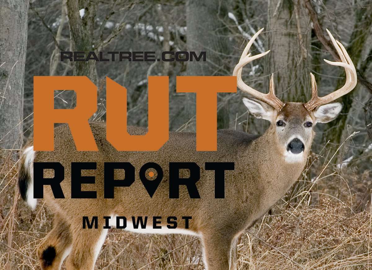Midwest Rut Report: Breeding is Mostly Over, Deer Settling into Late-Season Routines - image_by_bruce_macqueen-shutterstock-mw