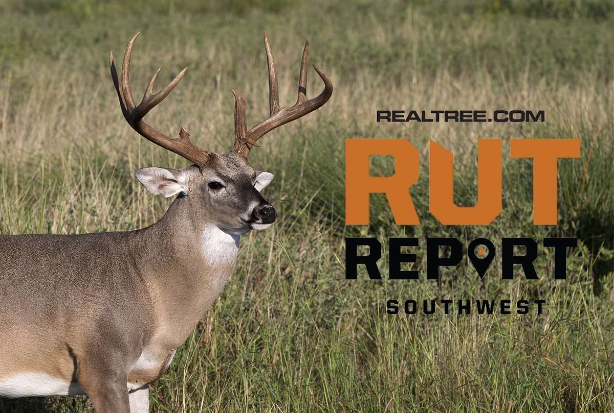 Southwest Rut Report: Slow Region Wide, But Good Hunting is Coming - image_by_dennis_w_donohue-shutterstock-sw