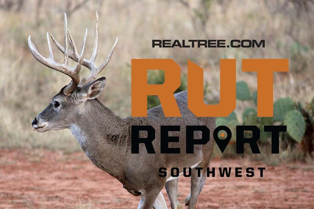 Southwest Rut Report: 2021 Rut Was All Over the Map, Still on Fire in ...