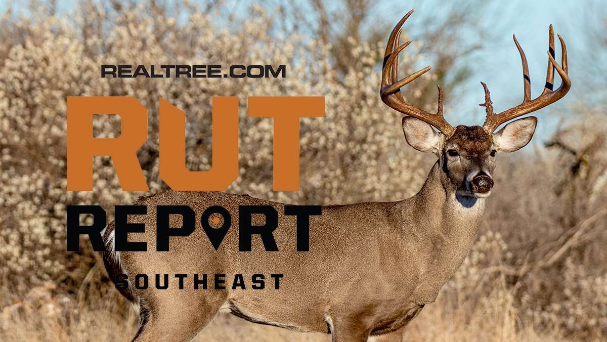Deep-South Rut Picking Up as Mid-South Peak Ends - Realtree Camo