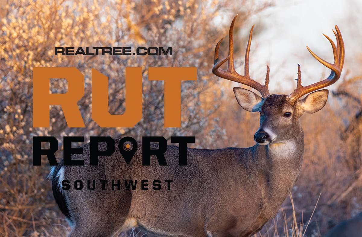 Southwest Rut Report: Prime Time Is Here! - image_by_jake_daugherty-shutterstock-sw