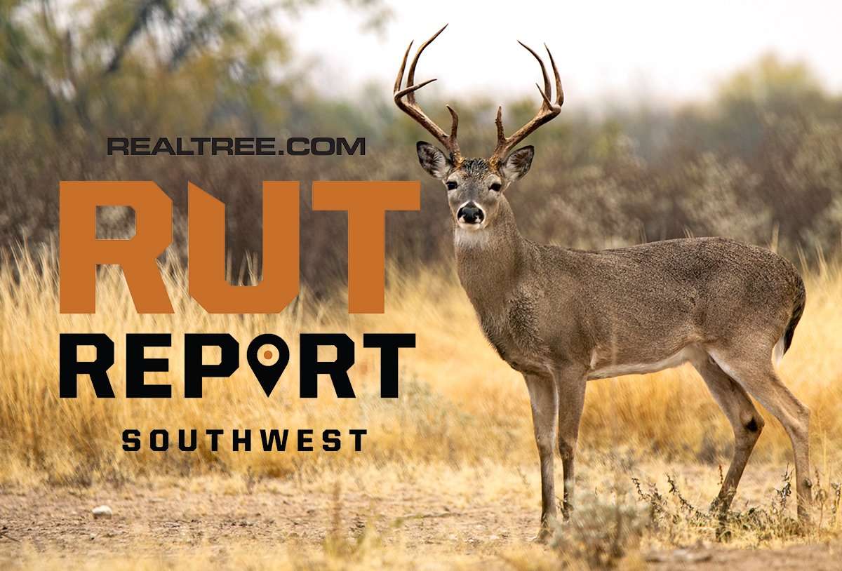 The Rut is Slow to Arrive in the Southwest - image_by_jake_daugherty-sw