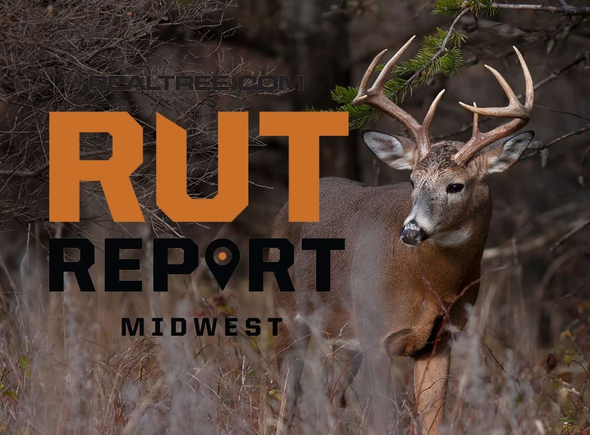 Warm Weather, Acorns Slowing Midwest Action - image_by_jim_cumming-mw_0