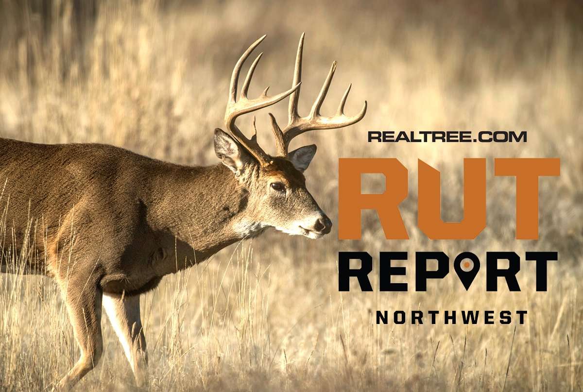 Northwest Rut Report: Big Bucks Are Starting to Move - image_by_john_hafner-nw