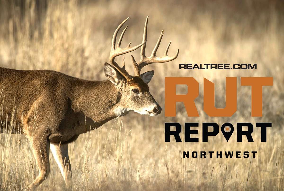 As One Rut Winds Down, Hunters Look Toward Another in the Northwest ...