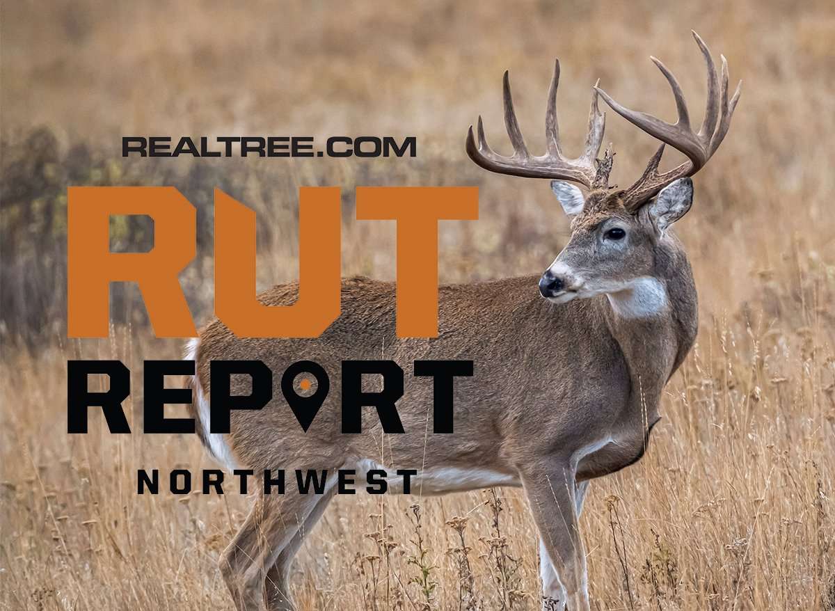 As the Northwest Rolls into November, Hunters Wonder, 'Where's the Rut?'  - image_by_john_hafner-nw_0