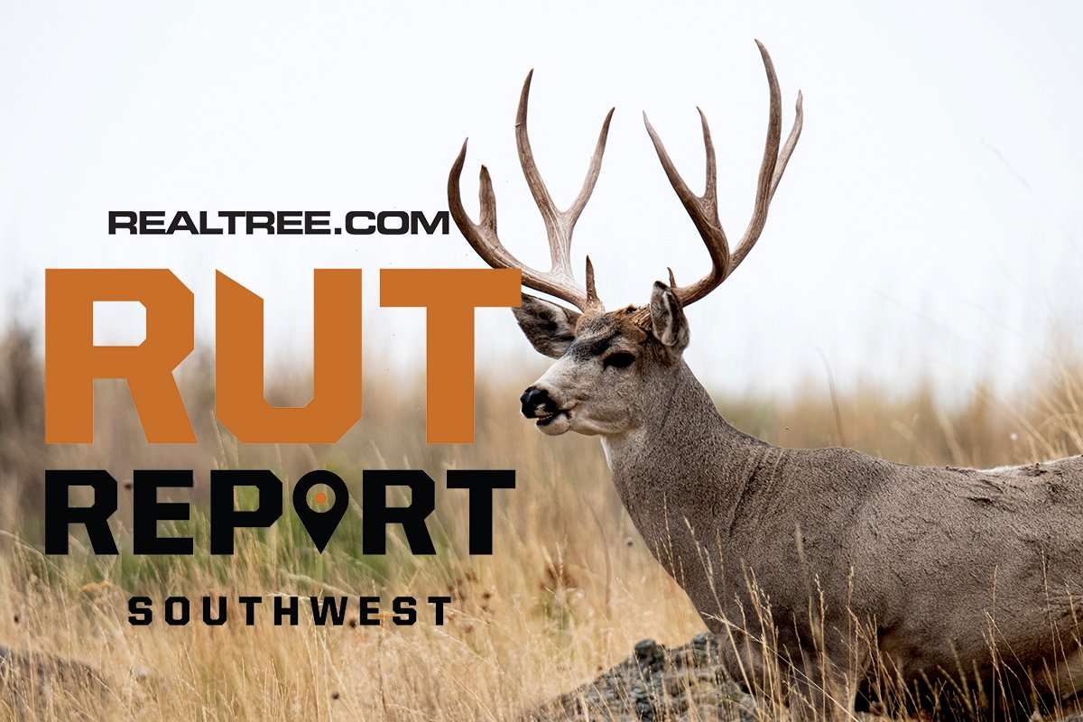 Southwest Rut Report: Get in the Woods! - Realtree Camo