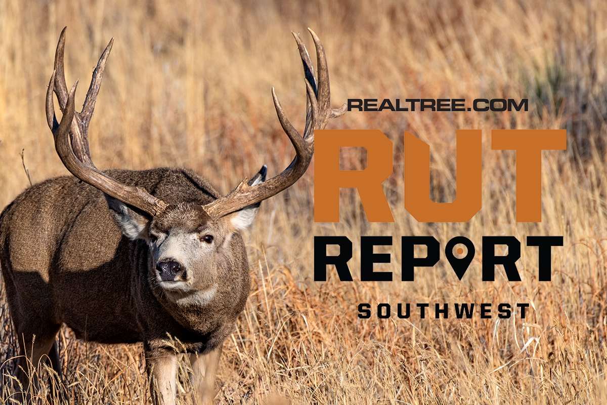 The Post-Rut Takes Over in the Southwest - Realtree Camo