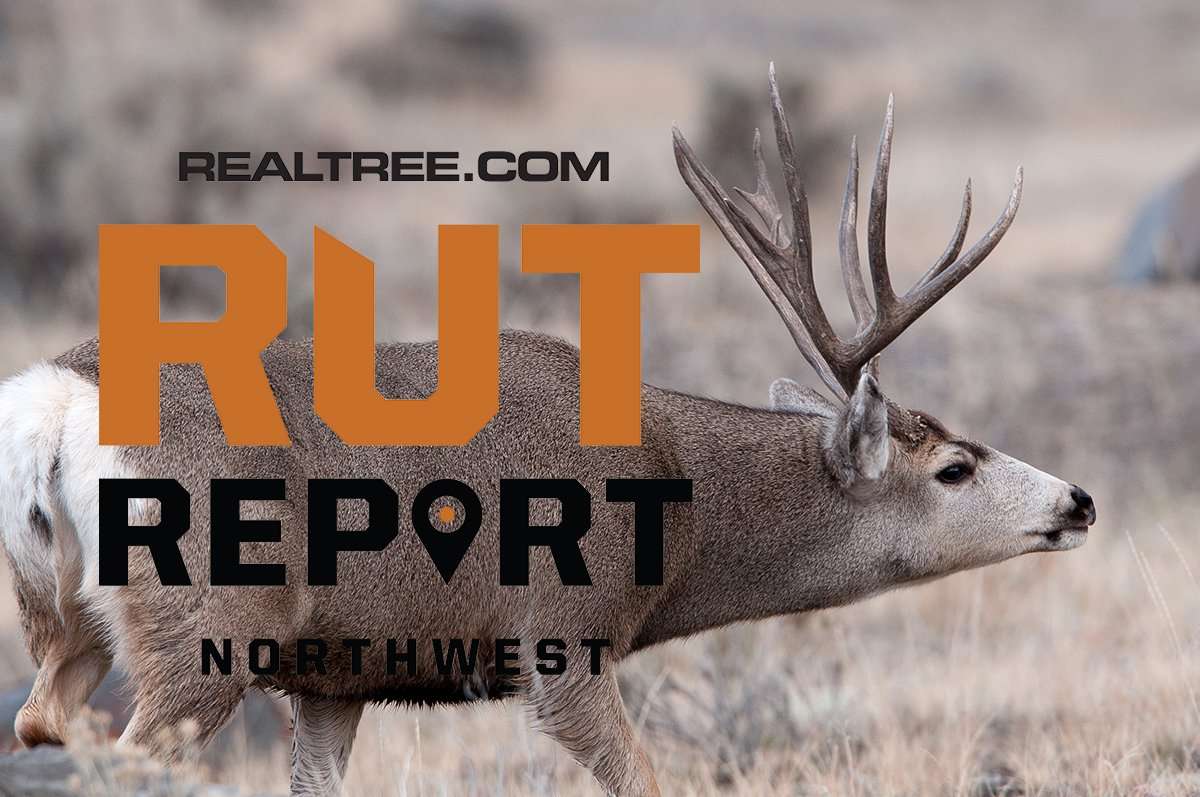 Northwest Rut Report: Weather Was Hot, Hunting Was Not (So Much ...