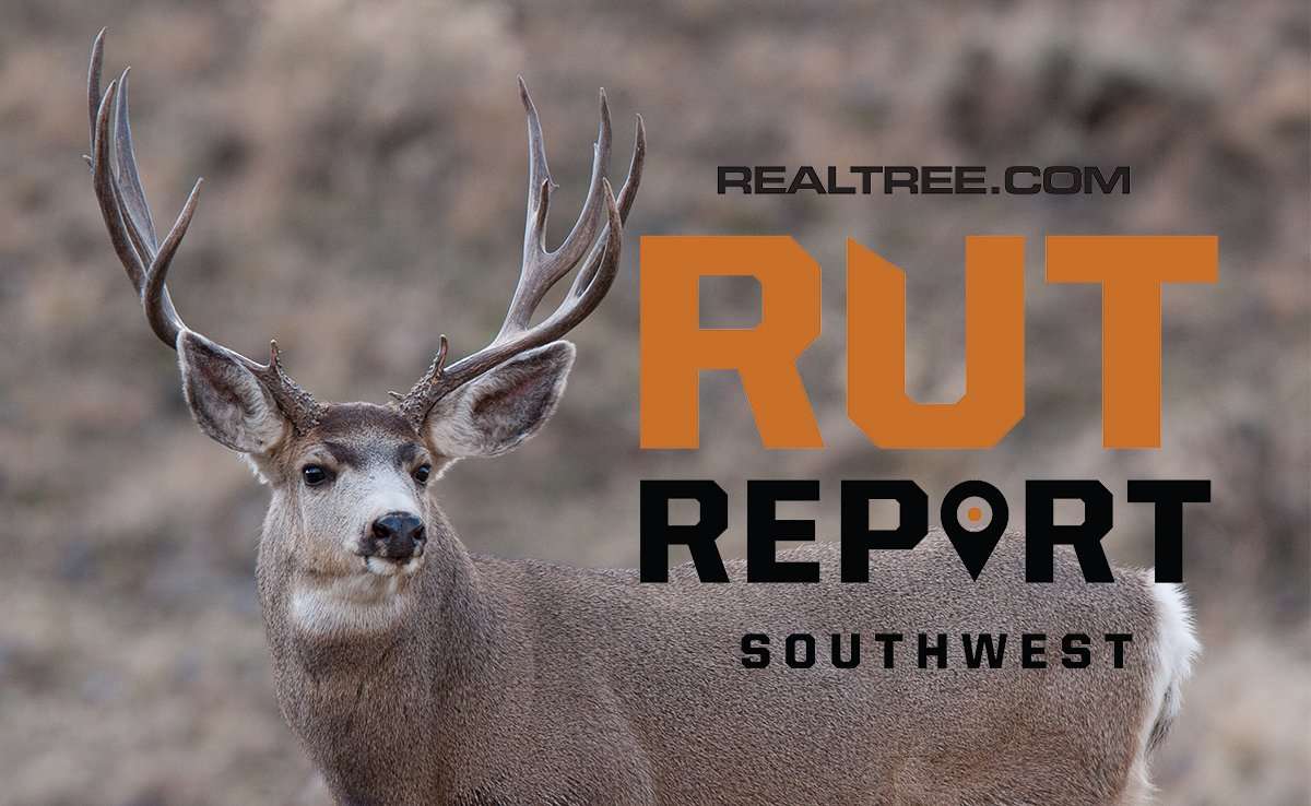 Southwest Rut Report: Late-Season Hunting Good in Texas - image_by_lorraine_logan-shutterstock-sw