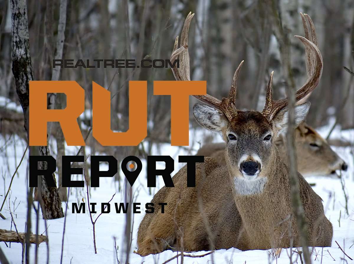 Midwest Rut Report: 2021 Rut Was on Schedule, but Weird - image_by_michael_dante_salazar-shutterstock-mw