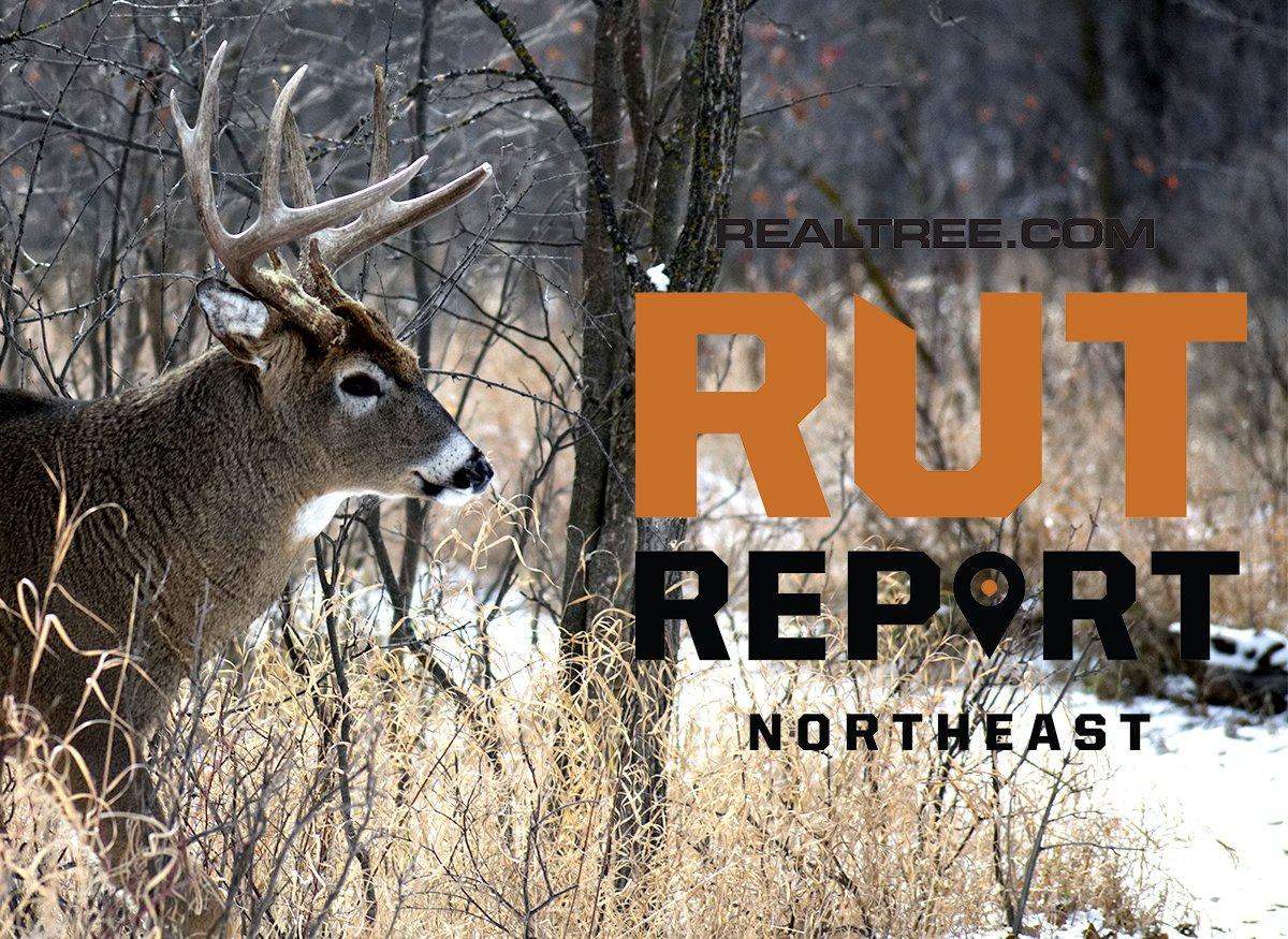 Northeast Rut Report The Northeastern Rut Is Over Realtree Camo
