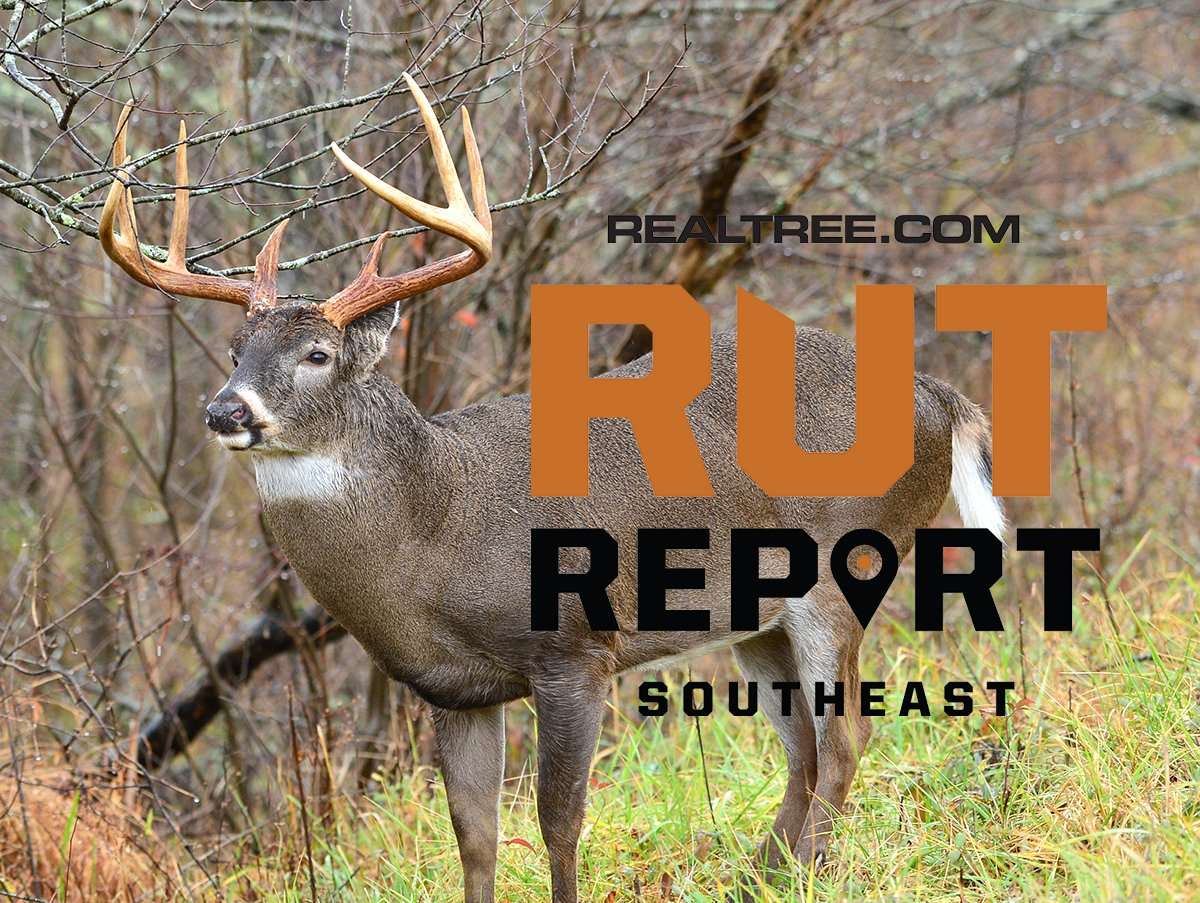 Cool Weather, Frequent Fronts Mean Great Start to Deer Season in the Southeast - image_by_paul_winterman-se