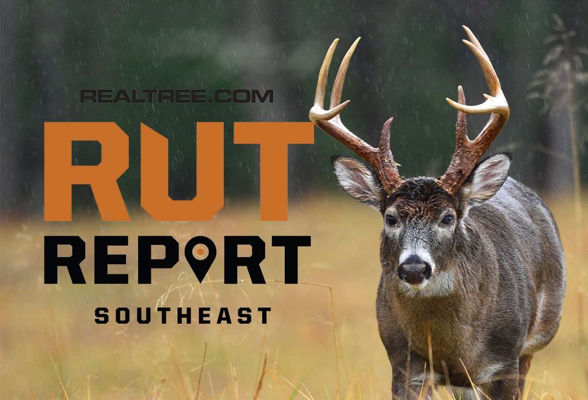 Southeast Rut Report: Sour Weather Making for Sour Hunting - image_by_paul_winterman-shutterstock-se