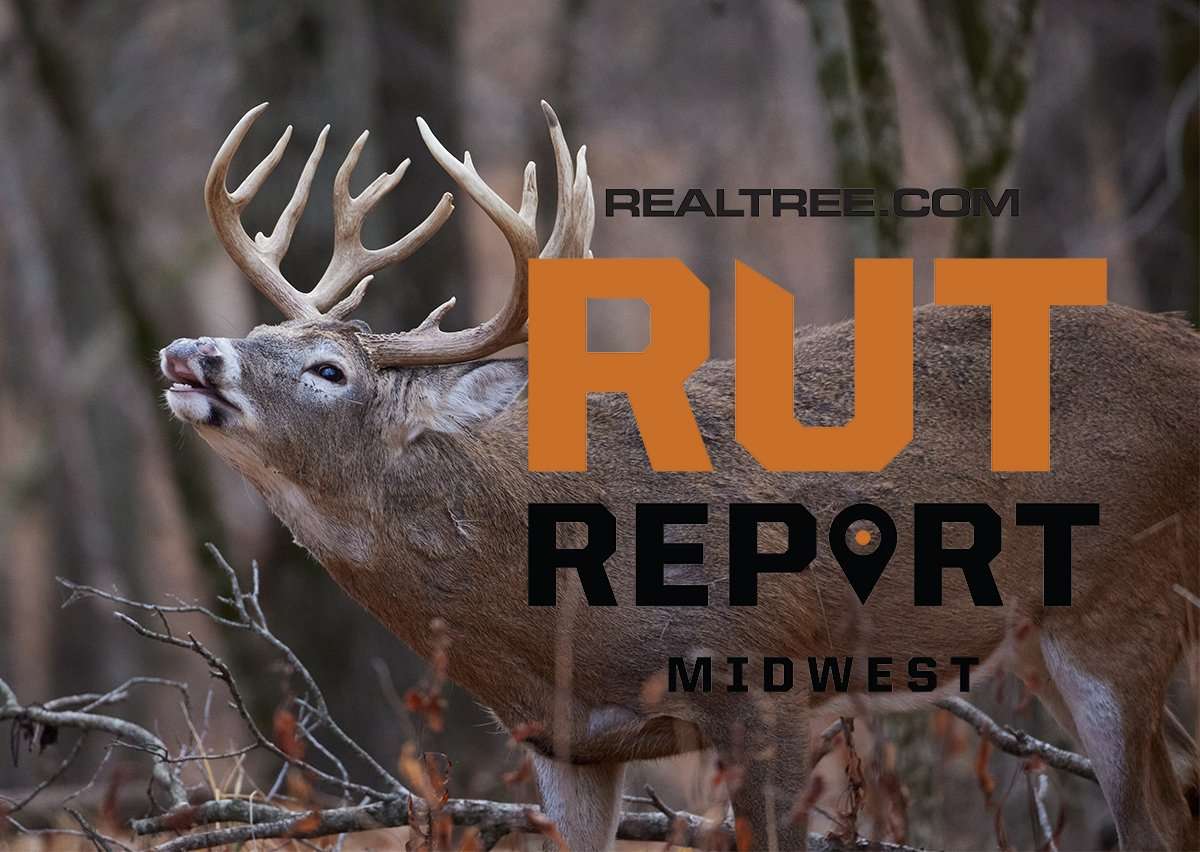 Midwest Rut Report: Bucks and Does Are Locking Down - image_by_rich_waite-shutterstock-mw