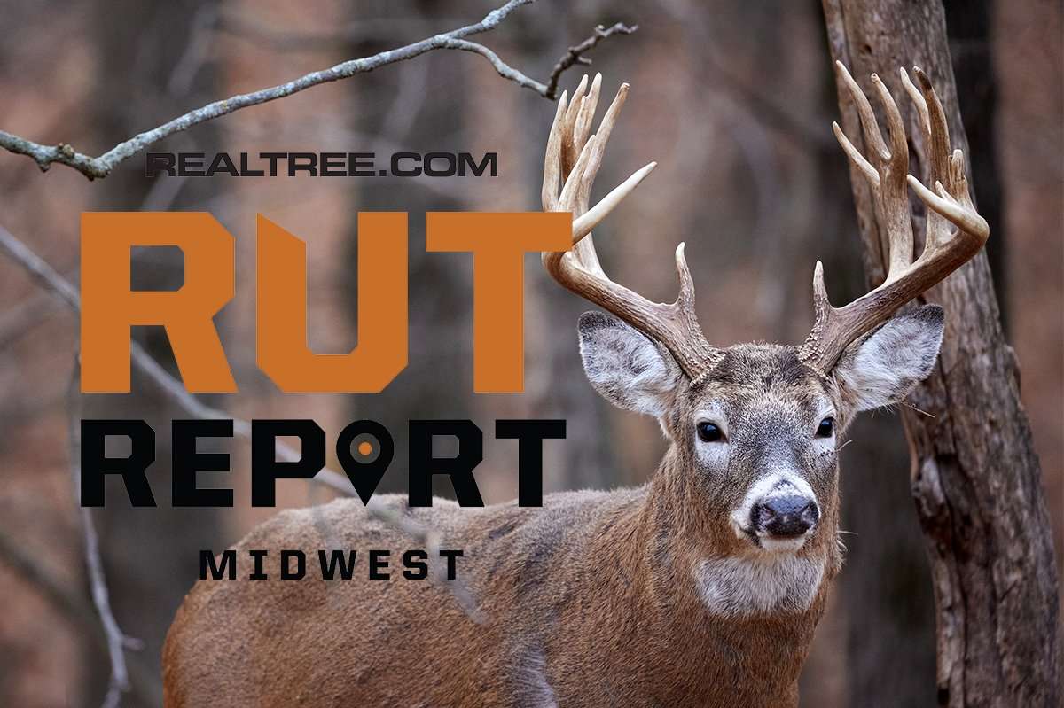 Midwest Rut Report: We're Nearing the End of Peak Breeding - image_by_rich_waite-shutterstock-mw_copy