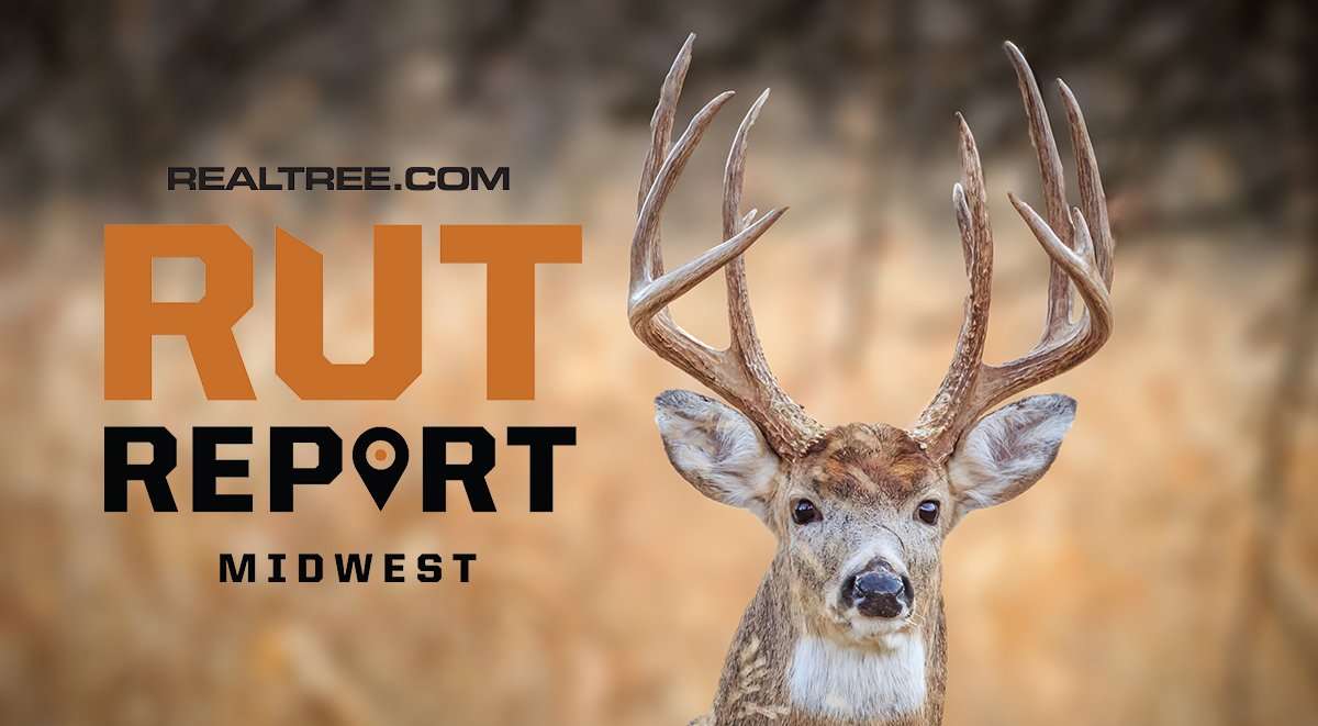 Get out and Hunt the Final Few Days of the Midwest Rut - image_by_richard_g_smith-se