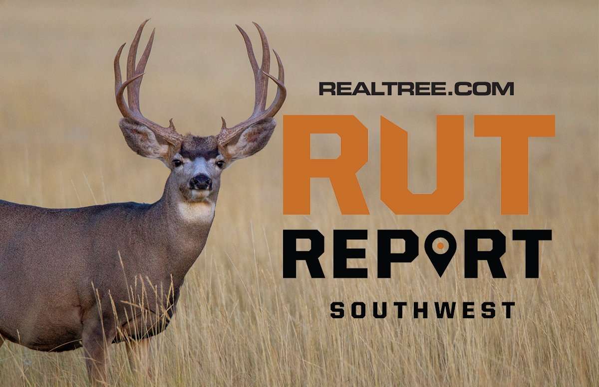 Southwest Region Rut Report: One Rut Wanes, Another Rut Heats Up - image_by_russell_graves-sw