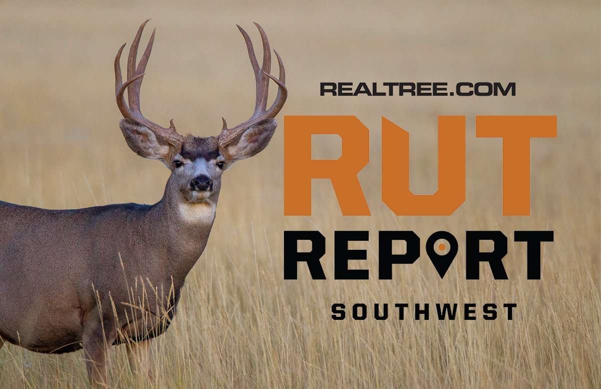 Southwest Region Rut Report: One Rut Wanes, Another Rut Heats Up ...