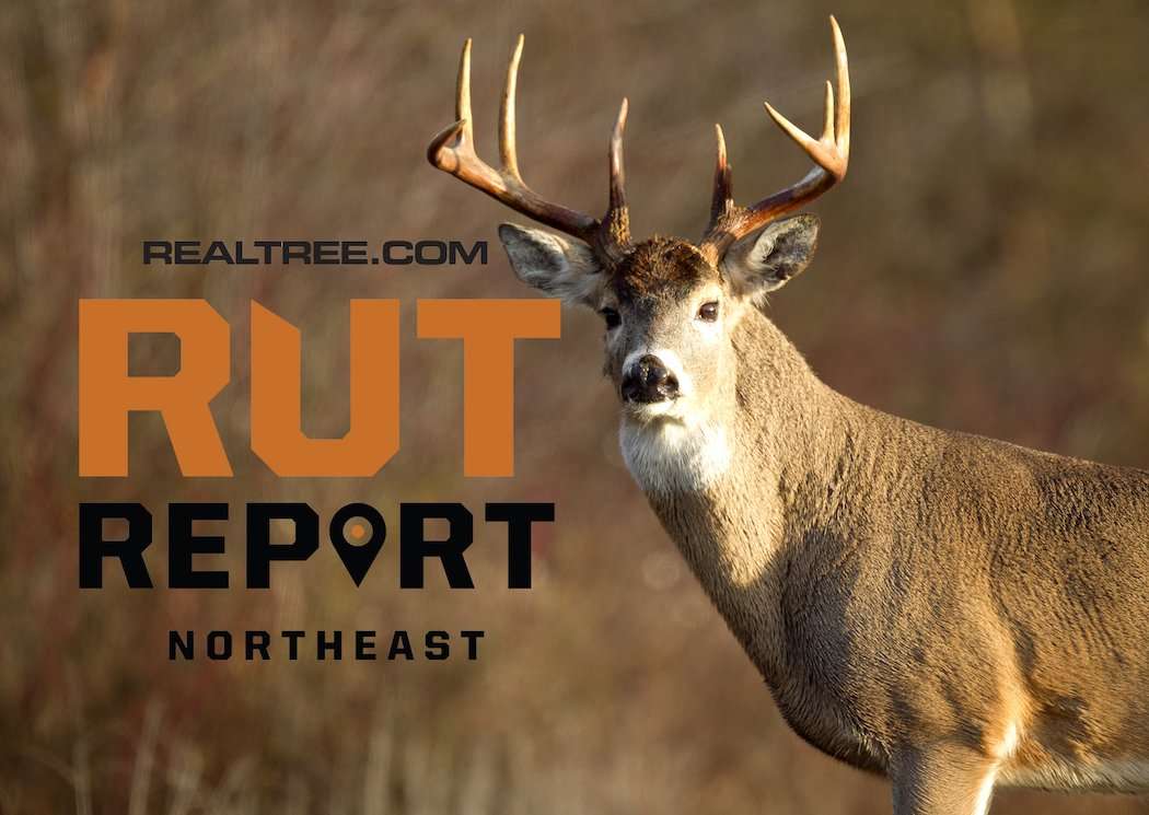 Northeast Rut Winding Down, Crazy Weather Has Deer Movement Stalled  - image_by_steve_jamsa-ne