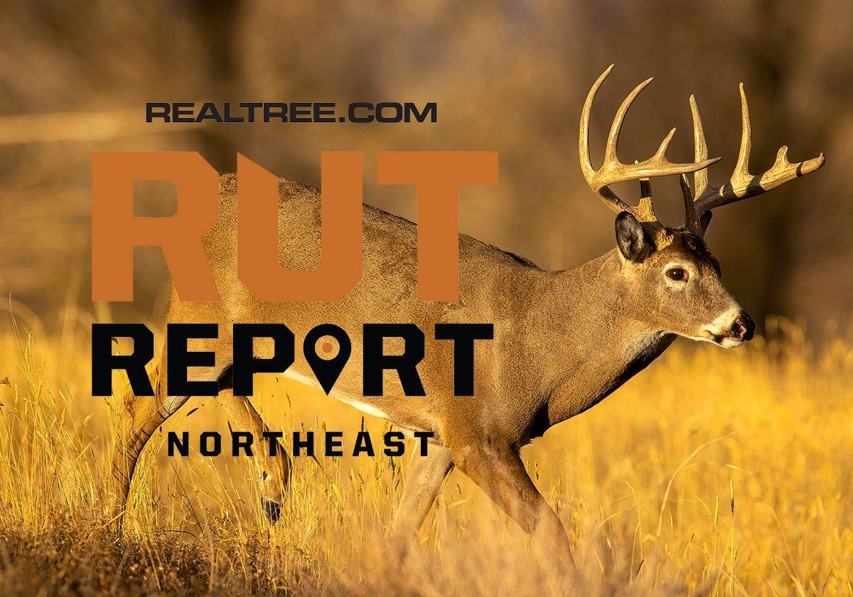 Northeast Rut is Popping Despite Warm Weather Realtree Camo