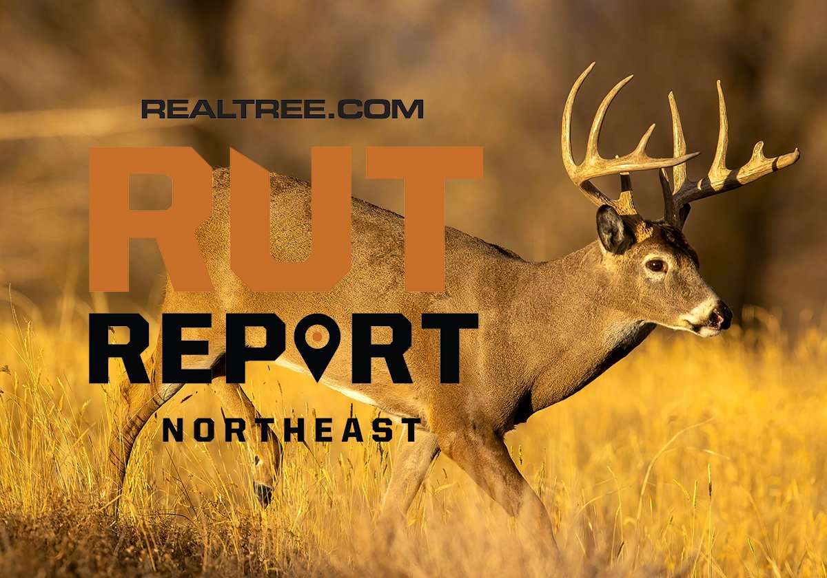 Northeast Rut is Popping Despite Warm Weather - image_by_thomas_torget-ne