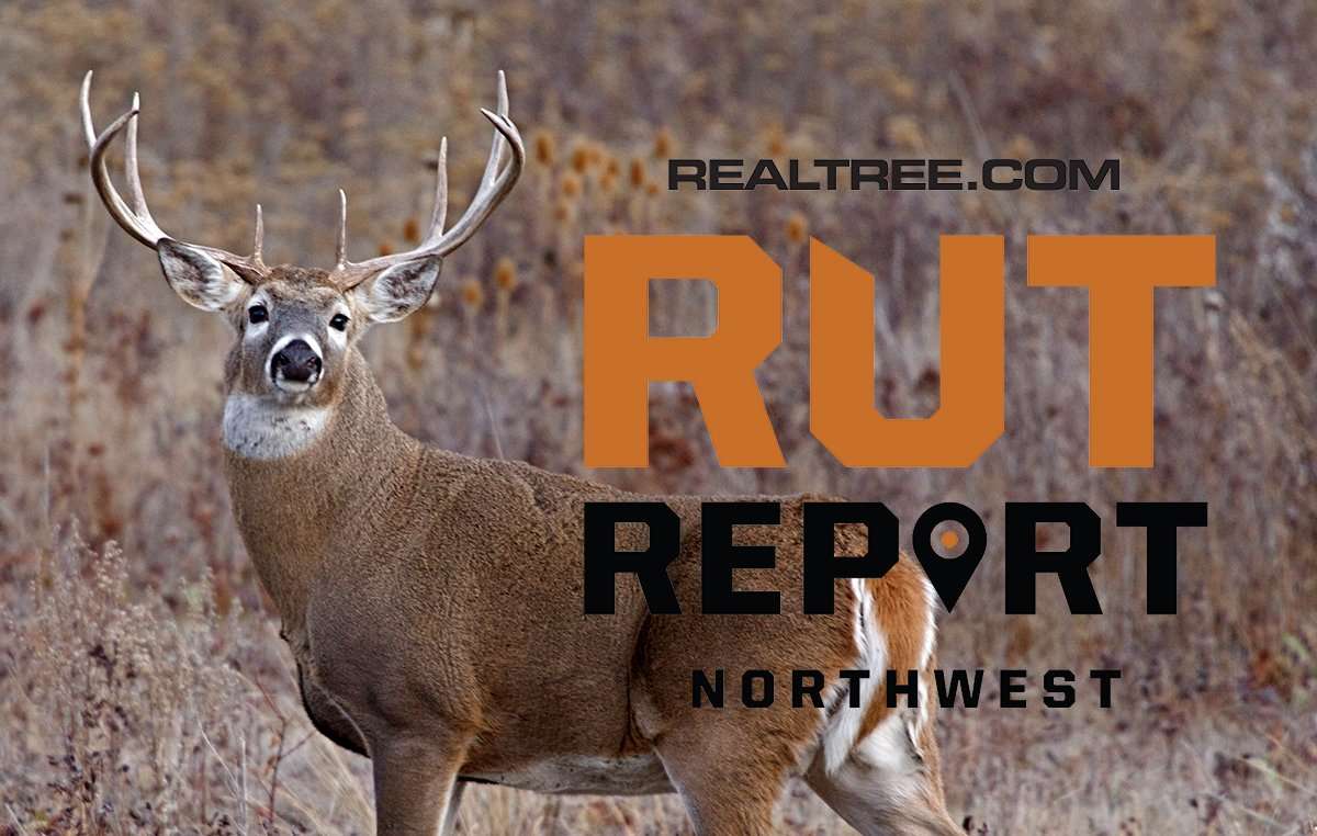 Mule Deer and Whitetails Reach Peak Rut in the Northwest - image_by_tom_reichner-nw_0