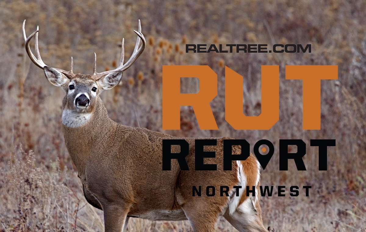Mule Deer and Whitetails Reach Peak Rut in the Northwest - Realtree Camo