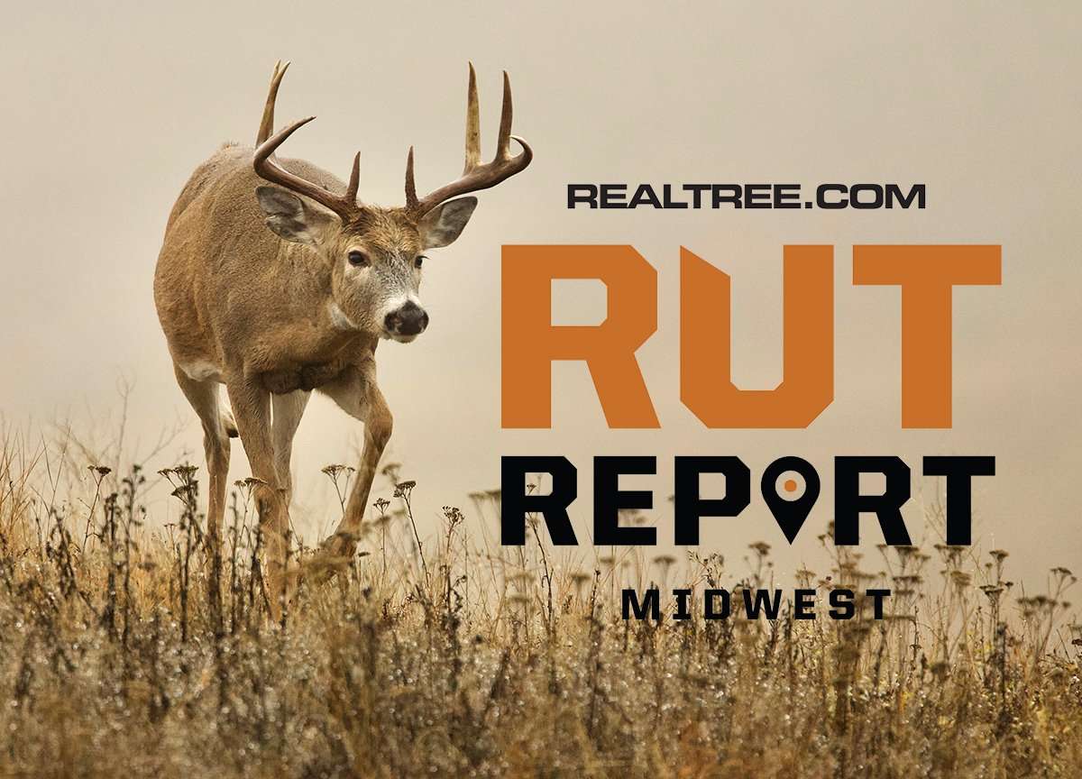 Midwest Rut Report: The Rut Is Ready to Rock - Realtree Camo