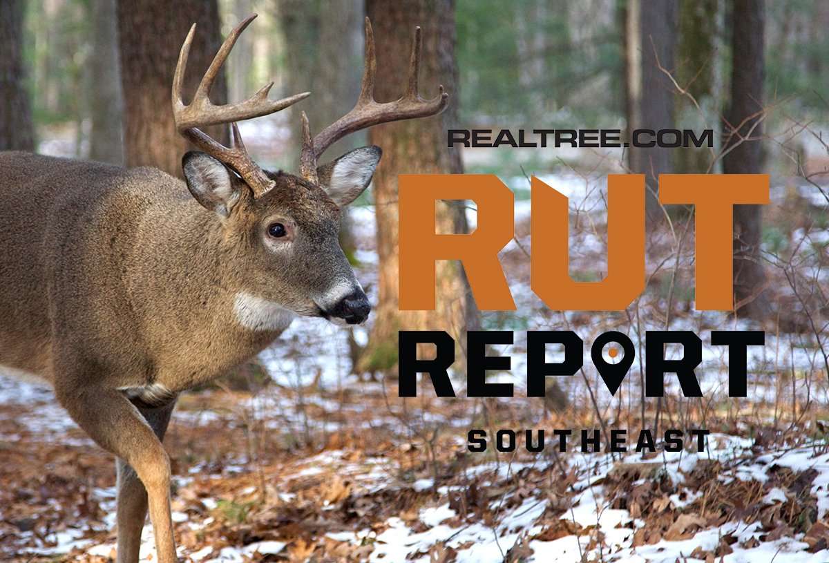 Southeast Rut Report: Rut Started Slow, Finished Strong - Realtree Camo