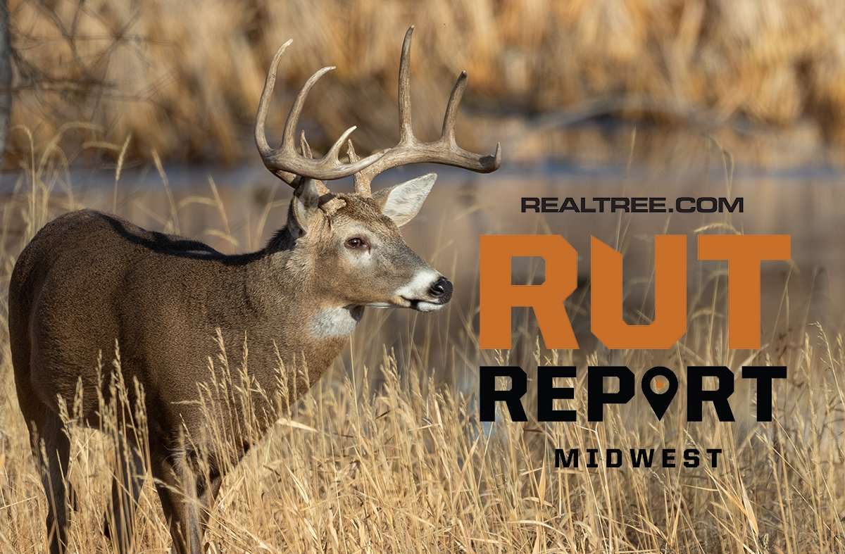 Peak Rut Ending in Midwest, Bucks on the Move - image_by_tom_tietz-mw