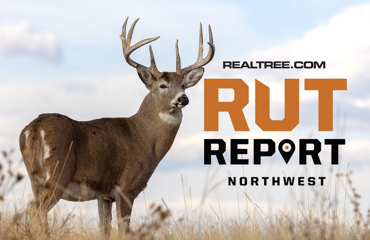 The Northwest Rut Has Arrived as Hunting Seasons End  - image_by_tom_tietz-nw_1