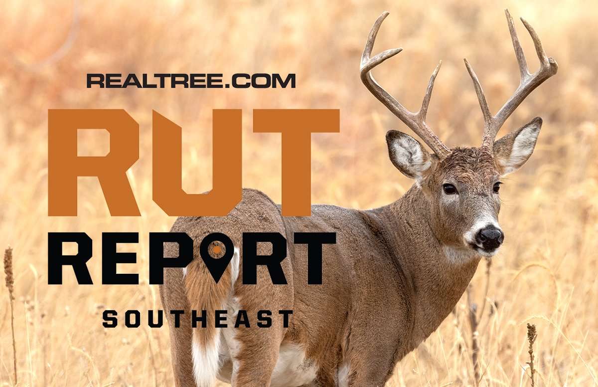 Southeast Rut Patterns Run the Spectrum in December - Realtree Camo