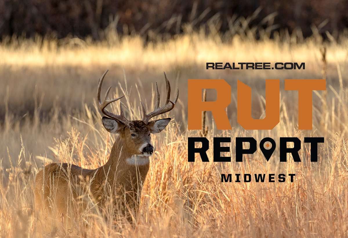 Midwest Rut Report: Hunt the Coming October Cold Front - image_by_tom_tietz-shutterstock-mw