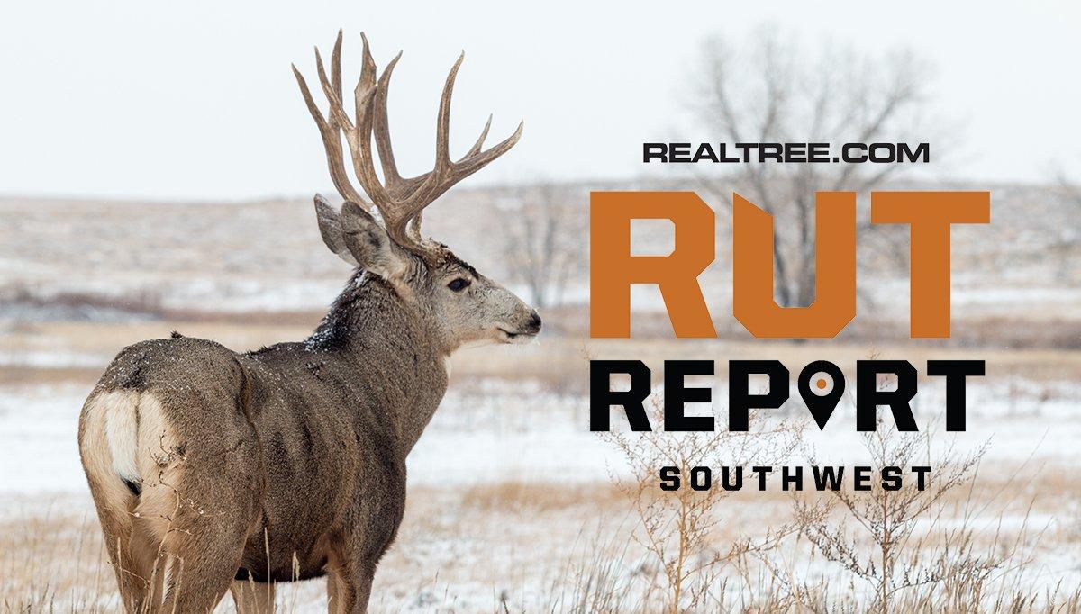 Late Season Action Was Good in Colorado, Texas Hunting Picking Up - image_by_tom_tietz-sw