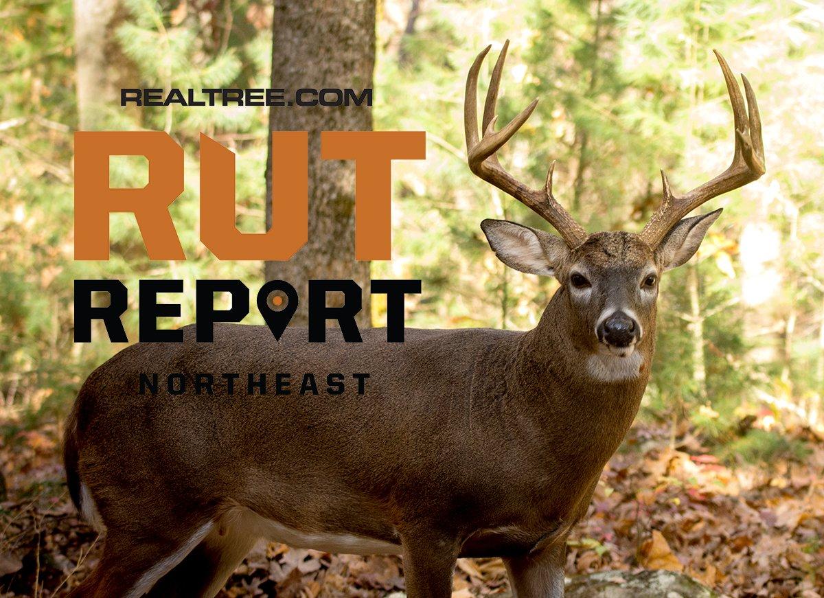 Deer Season Off to a Great Start in the Northeast Realtree Camo