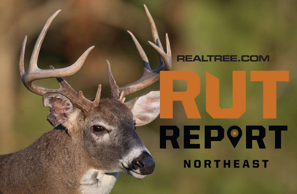 The Rut Reset is Just Around the Corner - image_by_tony_campbell-ne_0