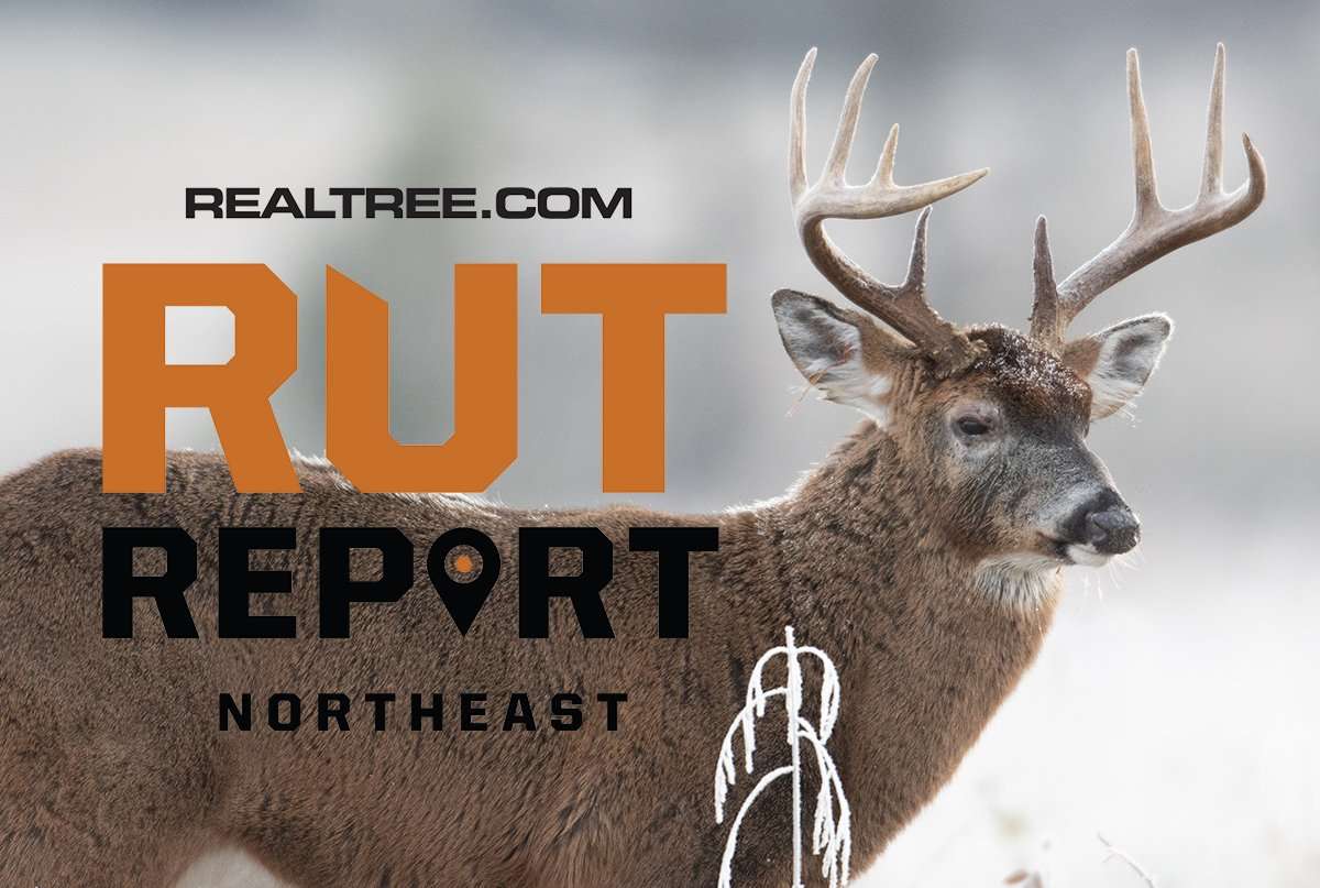 Northeast Hunters Looking Ahead to Secondary Rut - image_by_tony_campbell-ne_1