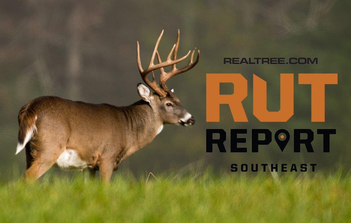 Rut is Rocking in Kentucky, Tennessee, Much of Southeast Realtree Camo
