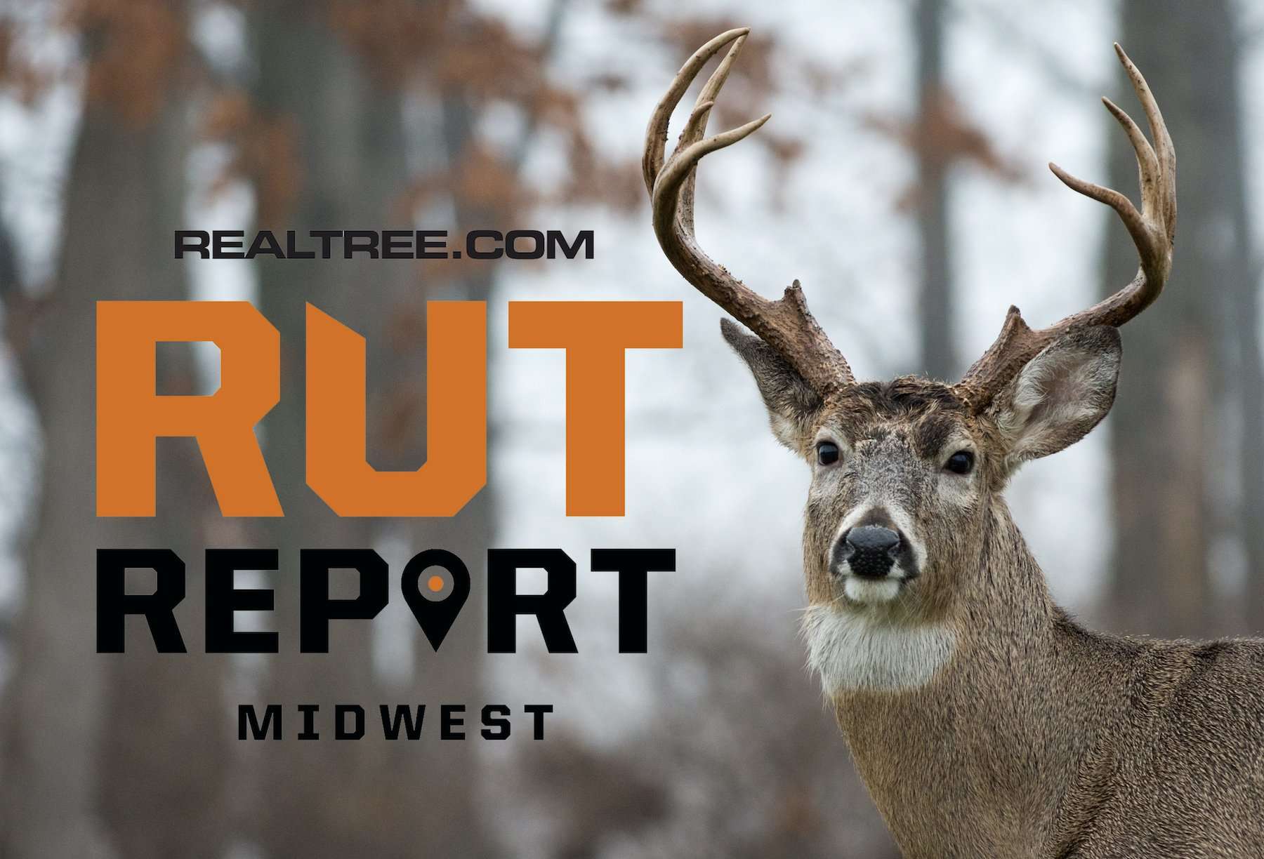 Midwest Rut Report The Rut Is Virtually Over Realtree Camo